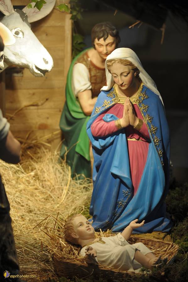 Nom de l'image : D30043120_1_(c)Norbert-JUNG — Description :